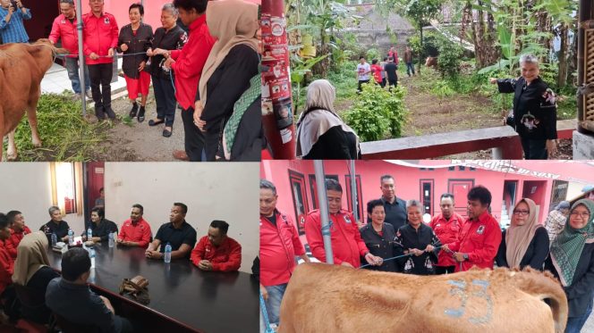 
Jelang Idul Adha 1445 Hj, dr Ribka Tjiptaning Serahkan 5 ekor Hewan Sapi Qurban 