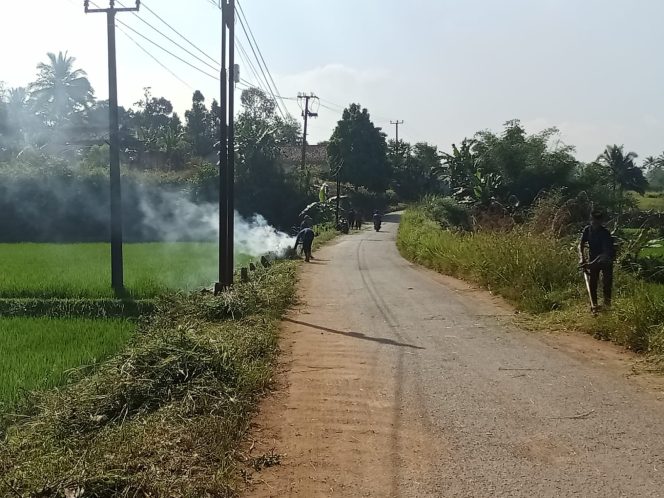 
Patut di Apresiasi Warga Cihaur Cicantayan, Gotong Royong Bersihkan Jalan Kabupaten