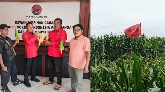 
BPEK DPC PDI P Kab Sukabumi Panen Perdana Jagung Hibrida Perkuat Ketahanan Pangan di Sukabumi