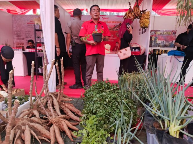 
DPC PDI Perjuangan Kabupaten Sukabumi Pamerkan Hasil Pertanian Unggulan di Hari Tani 2025 DPP PDI Perjuangan