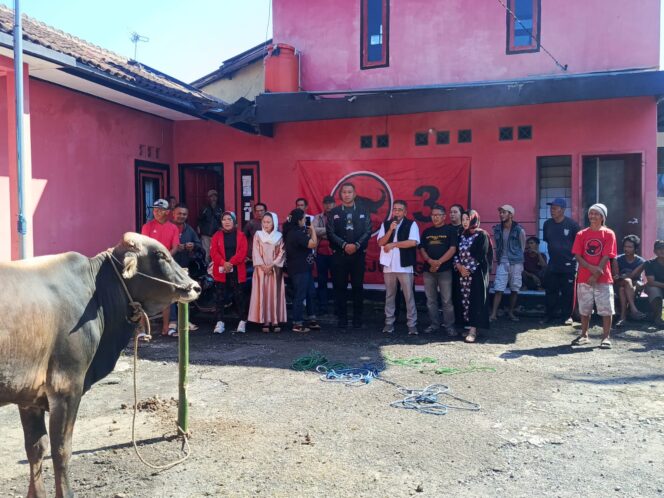 
Idul Adha 1447 H, DPC PDI Perjuangan Kab. Sukabumi Gelar Pemotongan Hewan Qurban dan Berbagi dengan Warga