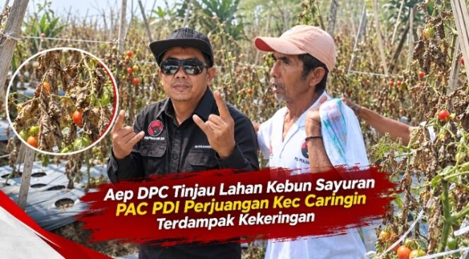 
‎Aep DPC Tinjau Lahan Kebun Sayuran PAC PDI Perjuangan Kec Caringin Terdampak Kekeringan
